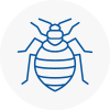 Bed Bug Extermination In Leytonstone