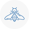 Bee Nest Removal Leytonstone