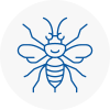 Leytonstone Hornet Nest Removals