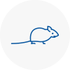 Mice Exterminators In Leytonstone