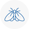 Moth Control Specialists In Leytonstone