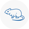 Rat Control Leytonstone