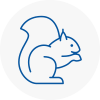 Leytonstone Rodent Removals