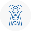Leytonstone Wasp Nest Removal